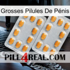 Grosses Pilules De Pénis cialis4